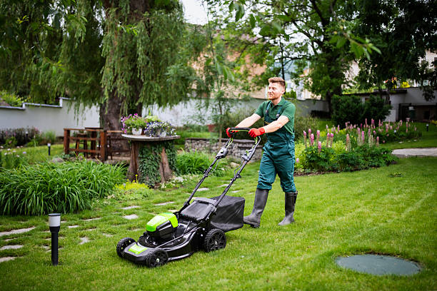 Lawncare